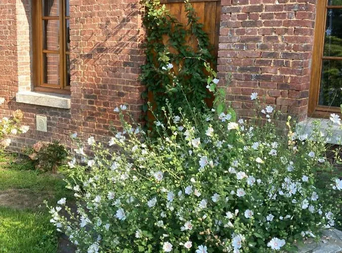 Maison Entre Terre Et Proche Etretat Holiday home *